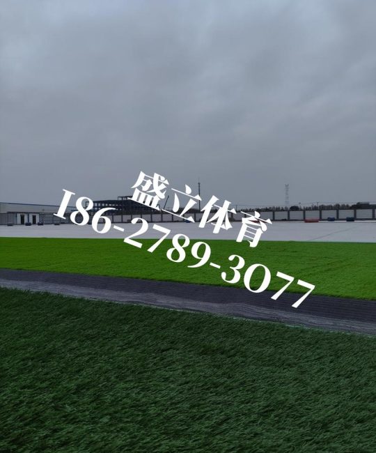 塑料草皮多少钱一平？2025年最新价格参考及选购指南