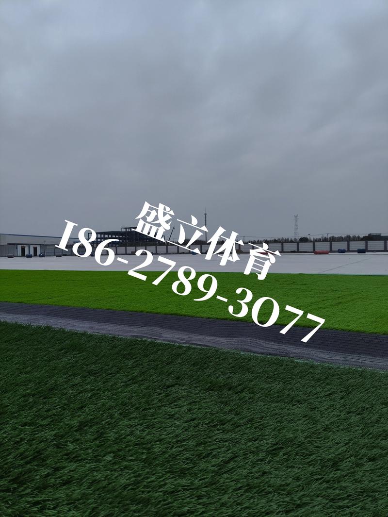 塑料草皮多少钱一平?2025年最新价格参考及选购指南 塑料草皮多少钱一平?2025年最新价格参考及选购指南