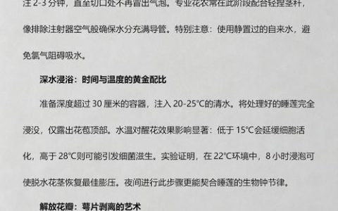 睡莲需要深水醒花吗？正确流程与常见误区