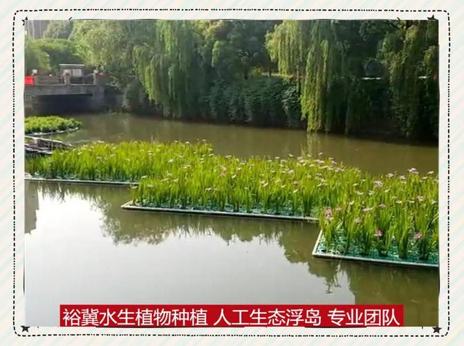 水上种植浮床多少钱?2025年最新价格参考与选购指南 综合价格对比表格