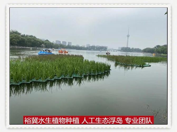 水上种植浮床多少钱?2025年最新价格参考与选购指南 如何获取精准报价?——咨询指南