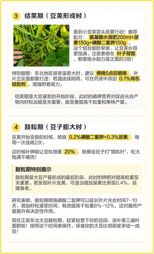 大豆花期施什么肥?促花保荚高产方案全解析 常见问题与解决方案(FAQ)