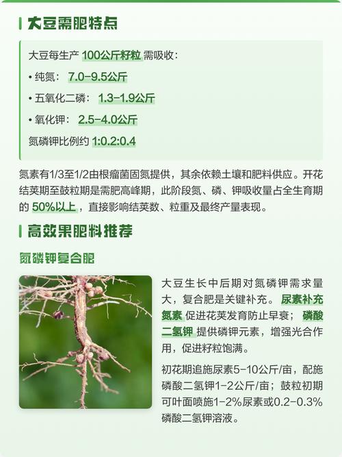 大豆花期施什么肥?促花保荚高产方案全解析 总结