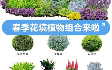 手机怎么识别树木花卉？2026年新手必看的3款App与拍照技巧