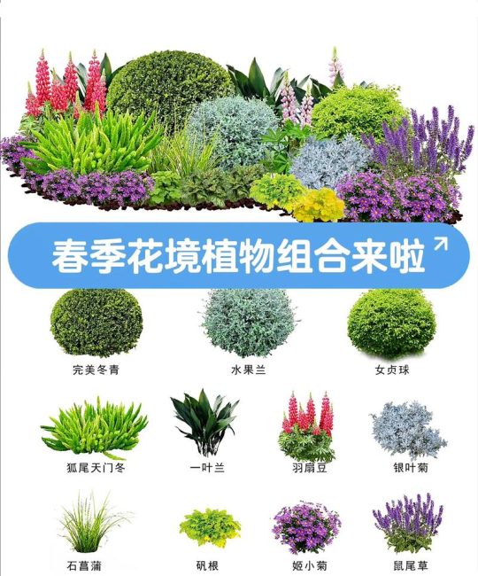 手机怎么识别树木花卉？2026年新手必看的3款App与拍照技巧
