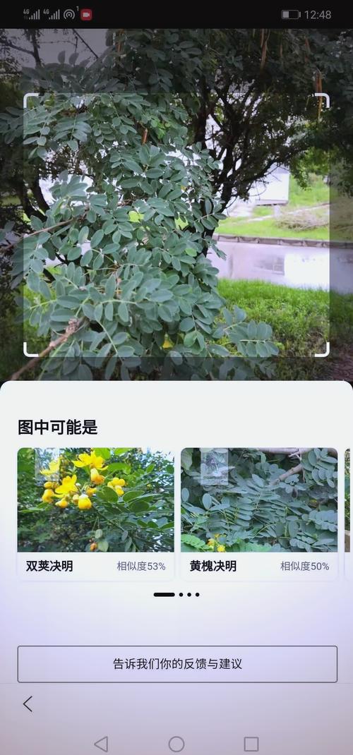 手机怎么识别树木花卉?2026年新手必看的3款App与拍照技巧 盆栽/地栽树木的识别场景差异
