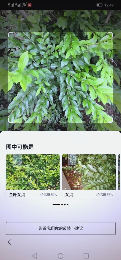 手机怎么识别树木花卉?2026年新手必看的3款App与拍照技巧 常见问题FAQ