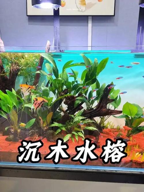 总结