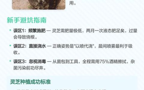 室内种植灵芝完全指南：从环境准备到出菇采收，手把手教你成功
