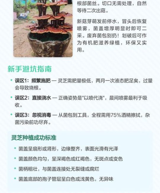 室内种植灵芝完全指南：从环境准备到出菇采收，手把手教你成功