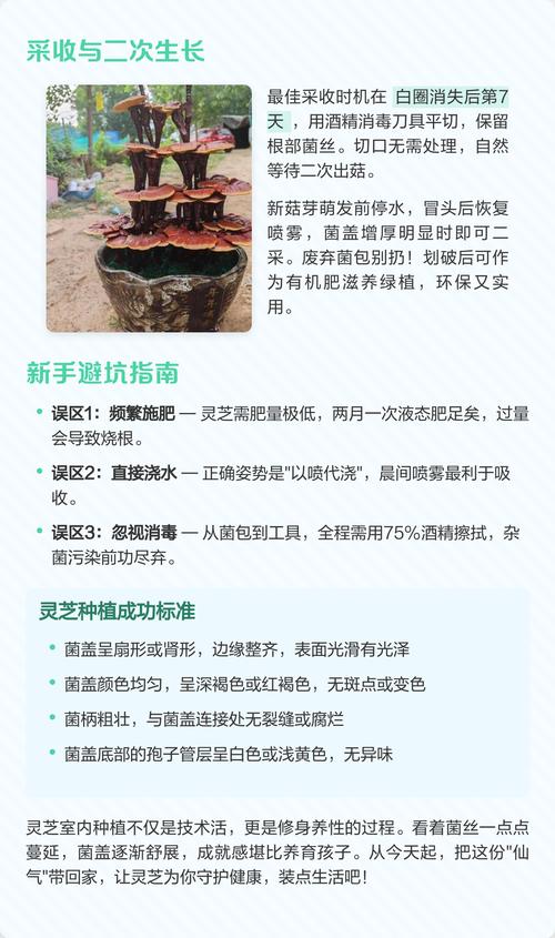 室内种植灵芝完全指南:从环境准备到出菇采收,手把手教你成功 一、适宜时间与季节选择