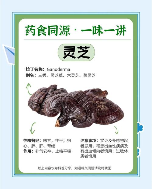 室内种植灵芝完全指南:从环境准备到出菇采收,手把手教你成功 四、栽植深度(菌丝培养与覆土出菇)
