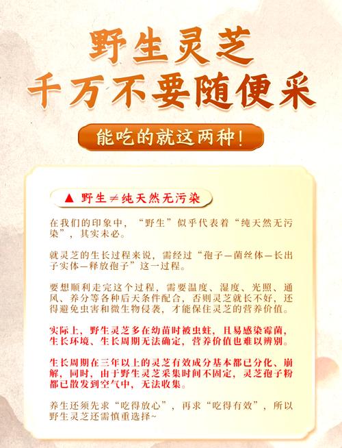 室内种植灵芝完全指南:从环境准备到出菇采收,手把手教你成功 七、成活注意事项(问题排查与采收)