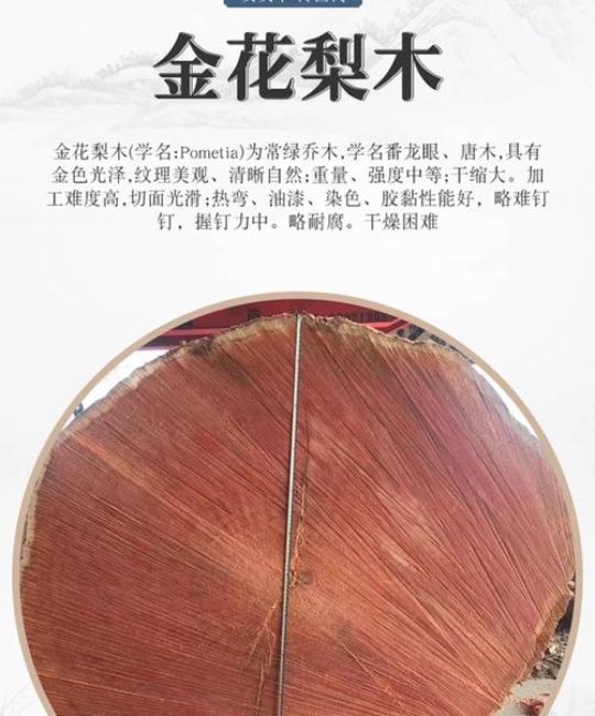 金花梨木和榆木哪个好？2026年硬木家具选购终极对比
