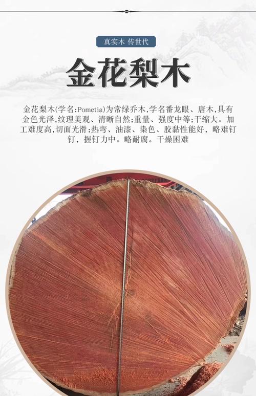 金花梨木和榆木哪个好?2026年硬木家具选购终极对比 金花梨木和榆木哪个好?2026年硬木家具选购终极对比