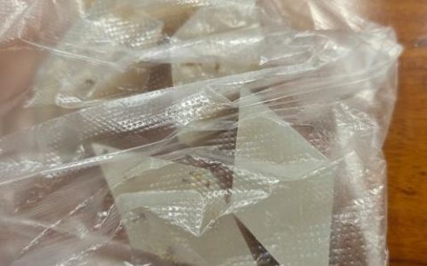 桂花罩上塑料袋需要透气吗？正确做法与注意事项