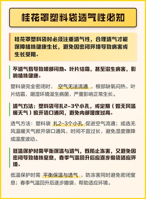桂花罩上塑料袋需要透气吗?正确做法与注意事项 总结
