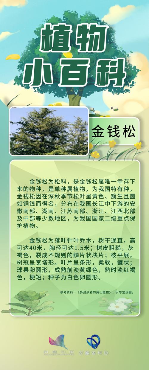 一颗松树值多少钱?价格全解析与报价指南 产地与品种影响价格
