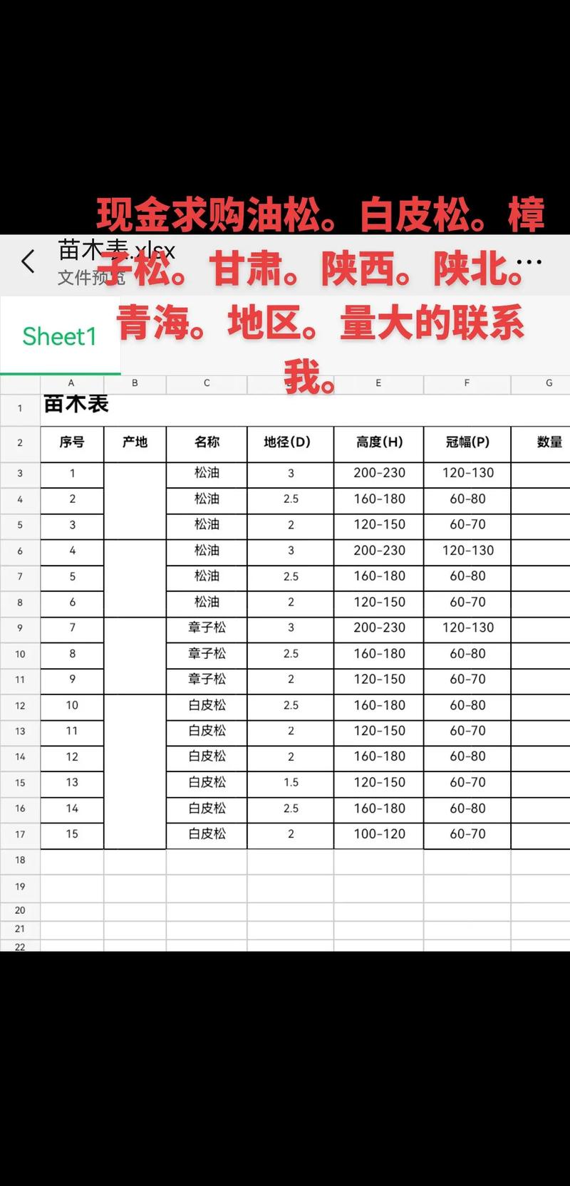 一颗松树值多少钱?价格全解析与报价指南 运输与物流成本