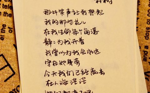 朴树种植与养护全攻略（树形·遮荫·行道树·庭院）