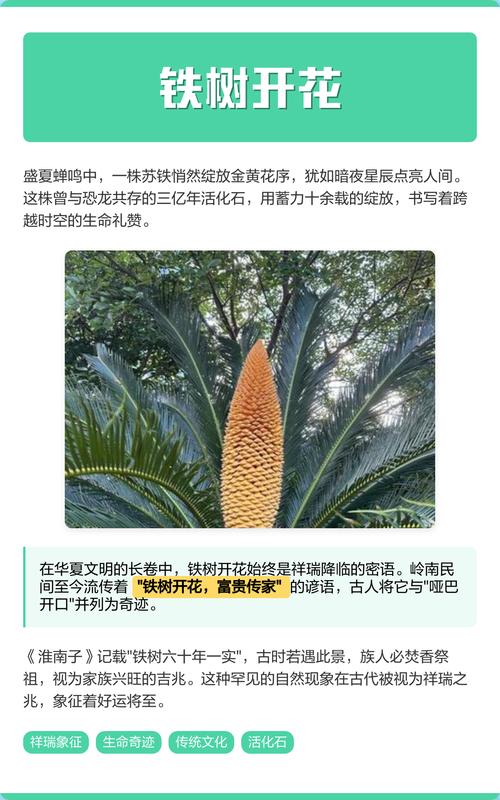 铁树开花代表什么动物?科学解读苏铁花期与观赏期奥秘 FAQ