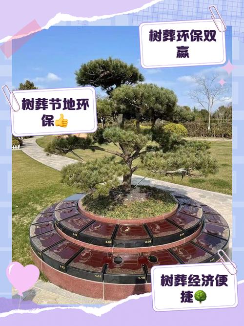 坟上长柳树好不好?从园艺角度全面分析其影响 五、总结:科学看待,合理取舍