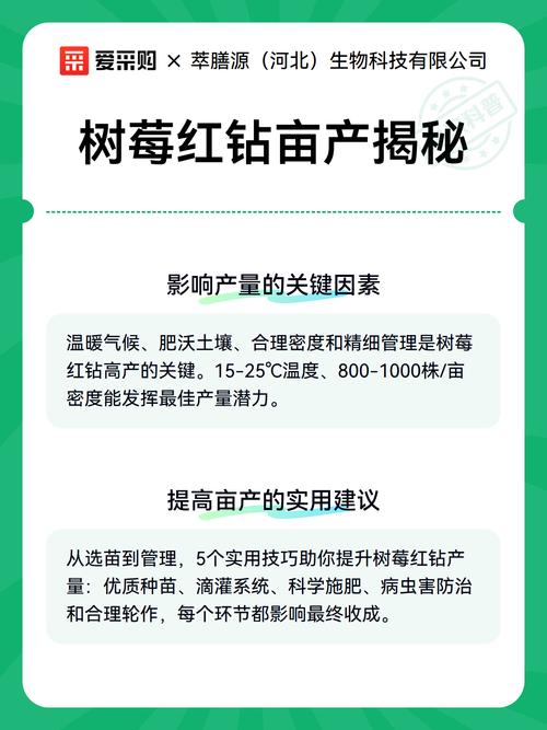 树莓亩产量多少斤?影响因素与增产技巧全解析 四、实际案例参考