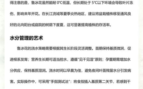 鲁冰花怎么播种？从时间到生根，一整套可落地的操作指南