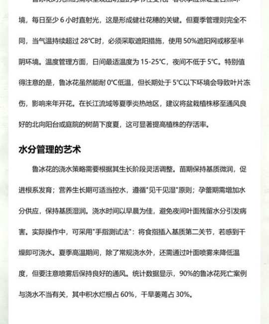 鲁冰花怎么播种？从时间到生根，一整套可落地的操作指南