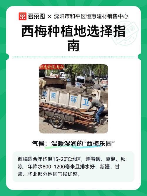 西梅树苗购买渠道选择指南:如何科学甄别优质供应商 总结:用四步流程锁定可靠渠道