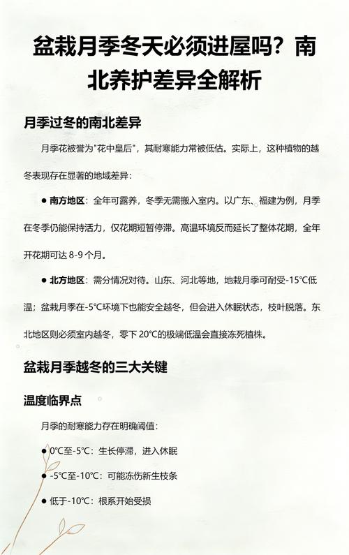 冬天月季花开花吗?答案与促花养护全攻略(含南北差异) 影响冬季开花的关键因素