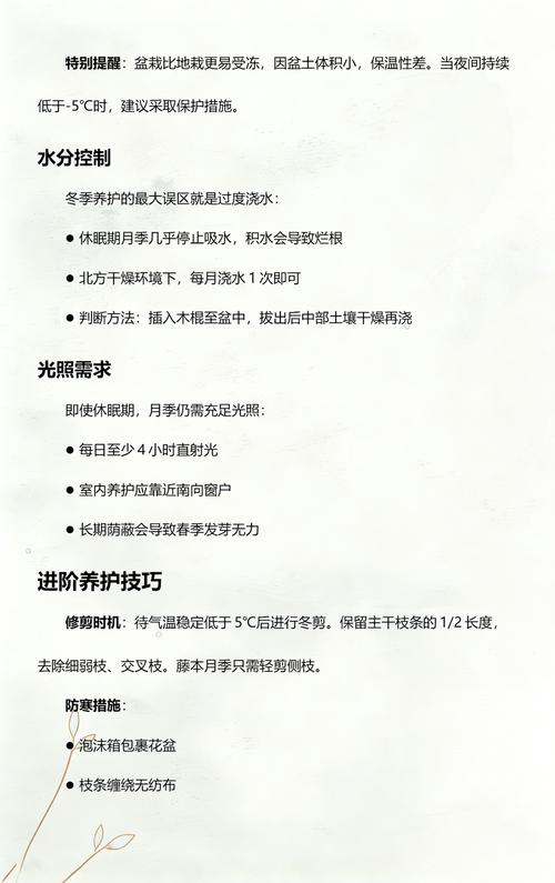 冬天月季花开花吗?答案与促花养护全攻略(含南北差异) 不开花常见原因与解决
