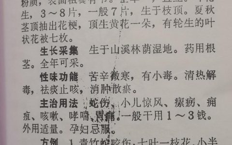 七叶一枝花哪里产的好？顶尖产地与园艺养护全指南