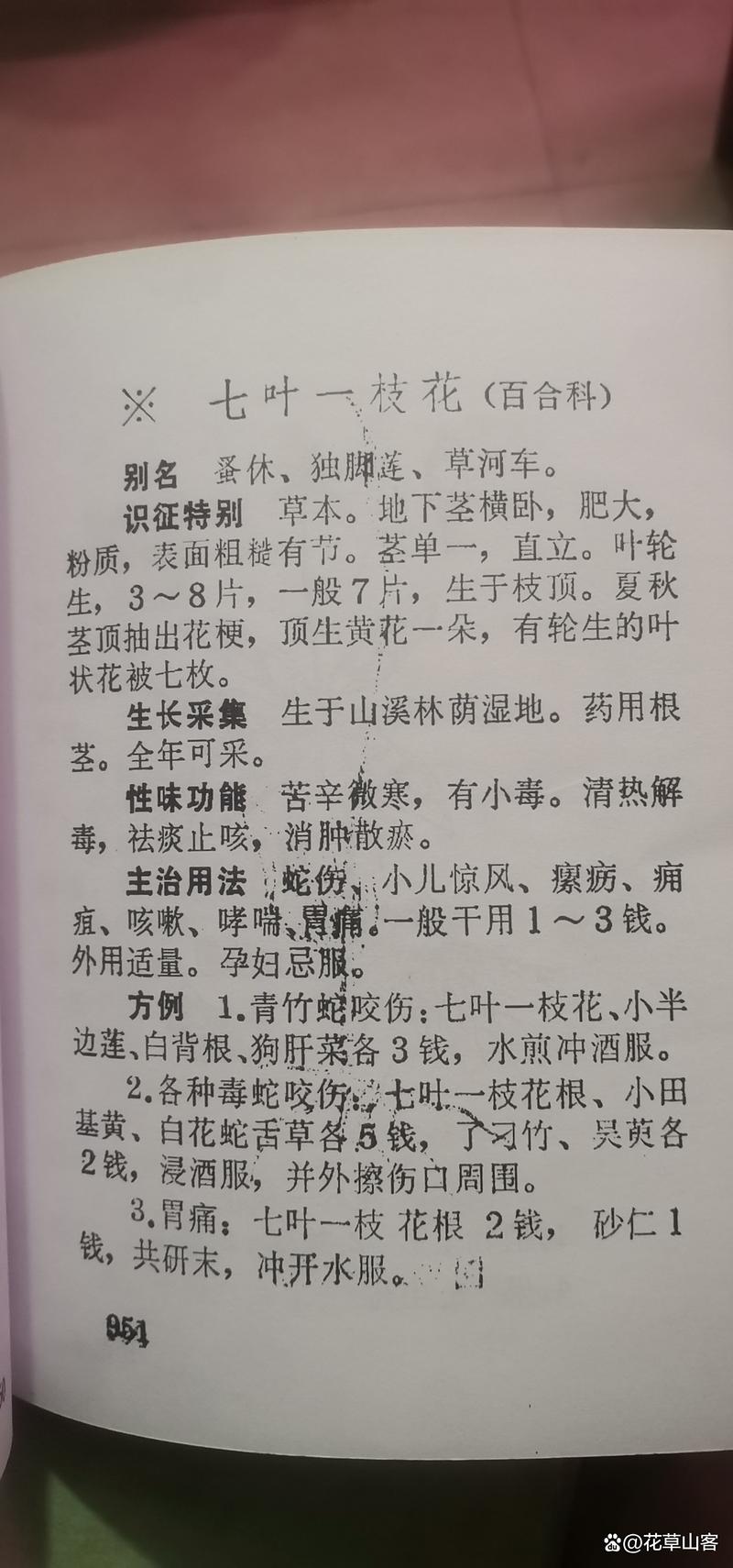 七叶一枝花哪里产的好?顶尖产地与园艺养护全指南 引言