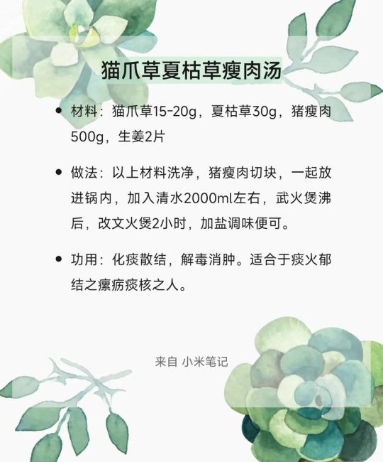 夏枯草与猫爪草的园艺种植指南及煮水用量详解