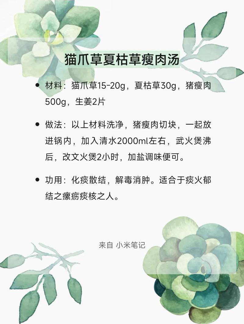 夏枯草与猫爪草的园艺种植指南及煮水用量详解 一、夏枯草的种植技巧