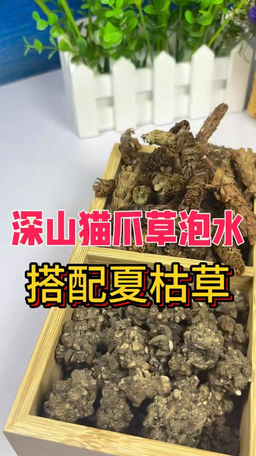 夏枯草与猫爪草的园艺种植指南及煮水用量详解 二、猫爪草的种植要点