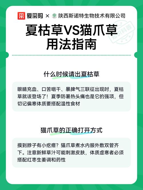 夏枯草与猫爪草的园艺种植指南及煮水用量详解 三、夏枯草与猫爪草煮水喝的用量