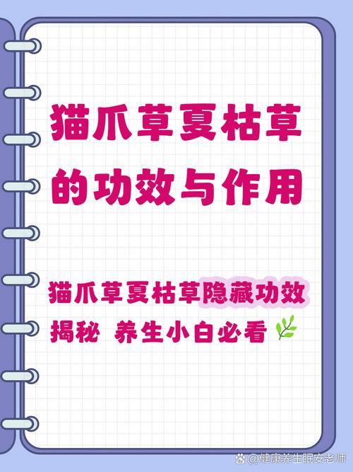 夏枯草与猫爪草的园艺种植指南及煮水用量详解 四、园艺搭配建议