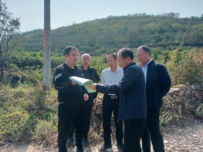 临沂楸树苗采购指南:如何科学评估苗圃渠道与规避陷阱 第一步:明确需求与初步筛选