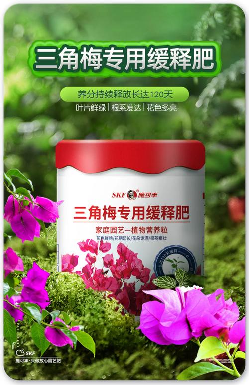 梅花牌味精怎么样?园艺高手用它做肥料,效果惊人! 结语:拥抱巧思,但也要理性