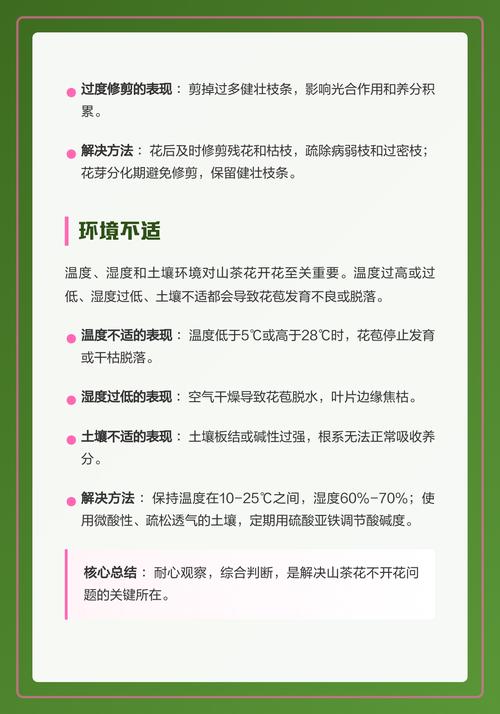 山茶花为什么不开花?六大核心养护密码全解析 光照与水肥的精准调控