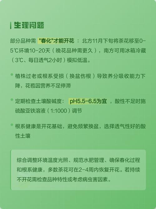 山茶花为什么不开花?六大核心养护密码全解析 越冬与越夏管理
