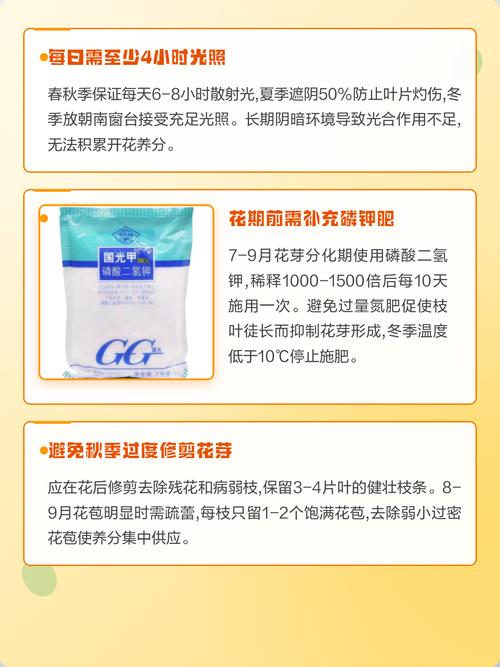 山茶花为什么不开花?六大核心养护密码全解析 总结:3条核心可执行动作