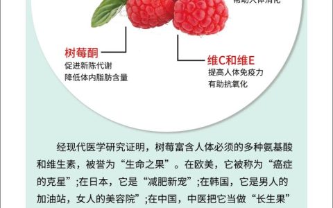 春日野果之王：树莓的食用、药用价值与安全食用指南