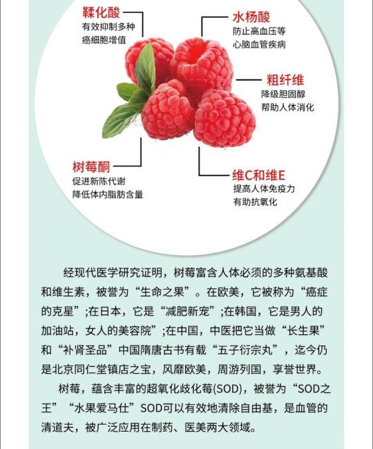 春日野果之王：树莓的食用、药用价值与安全食用指南