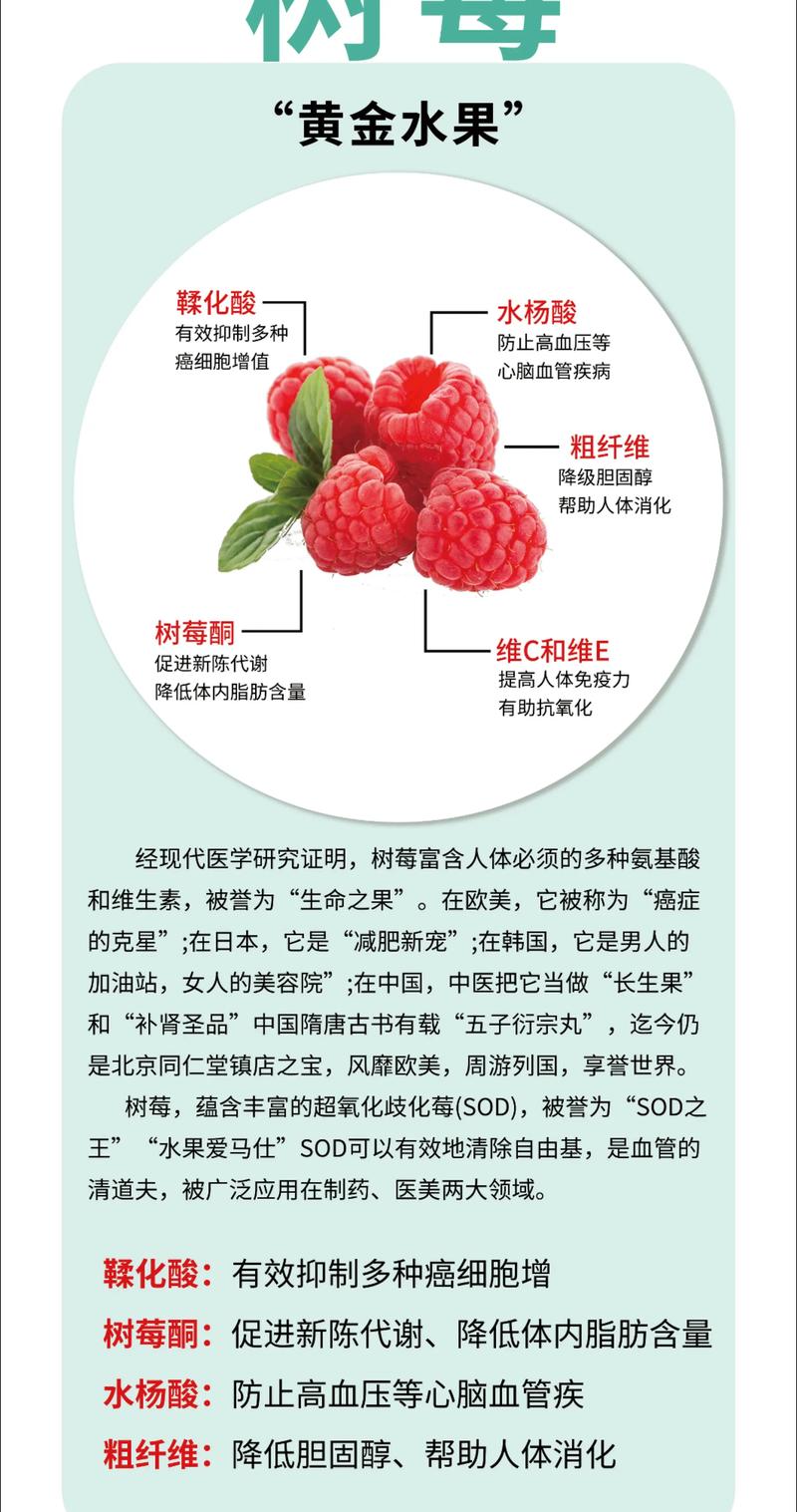 春日野果之王:树莓的食用、药用价值与安全食用指南 安全声明:科普先行,安全为本