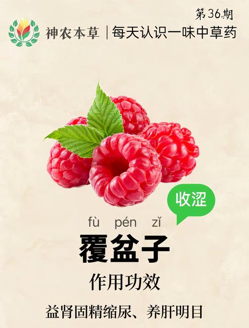 春日野果之王:树莓的食用、药用价值与安全食用指南 三、安全性指南:您必须知道的注意事项