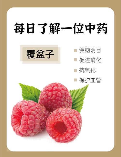 春日野果之王:树莓的食用、药用价值与安全食用指南 四、常见误区与正确认知