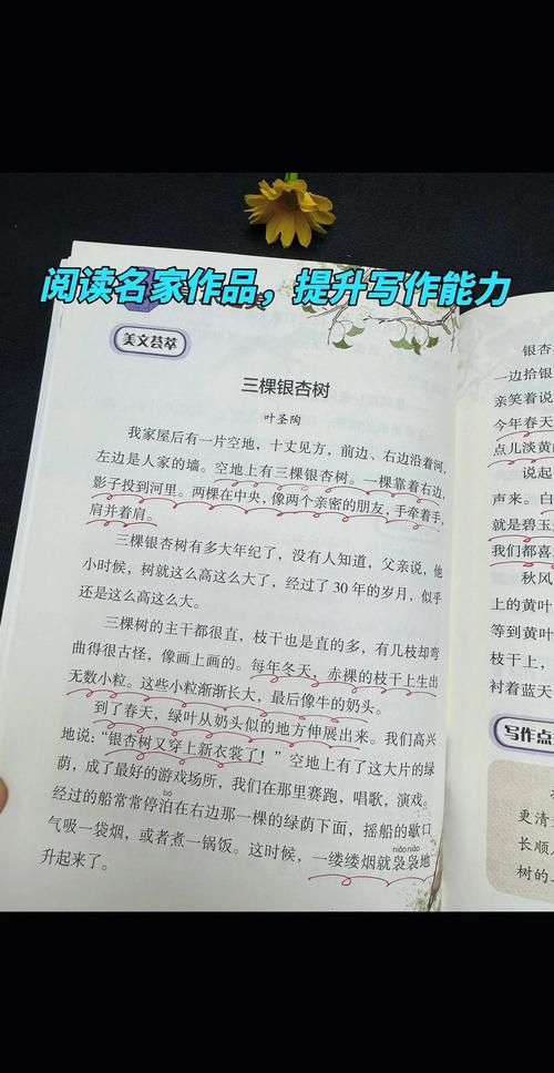 银杏树原产于哪个国家——从起源到行道树应用的完整指南 修剪与长期管理